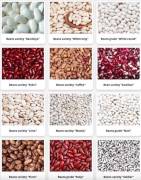 High-quality beans of various varieties