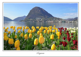 Accompagnamento turistico Lugano 