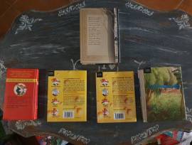 Lotto libri Geronimo Stilton