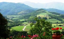 Cantina attrezzata colline Oltrepo' Pavese e Piacenza