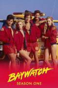 Baywatch - 10 Stagioni Complete