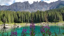 SULLE DOLOMITI IN LUGLIO MONOVANO ACCESSORIATO