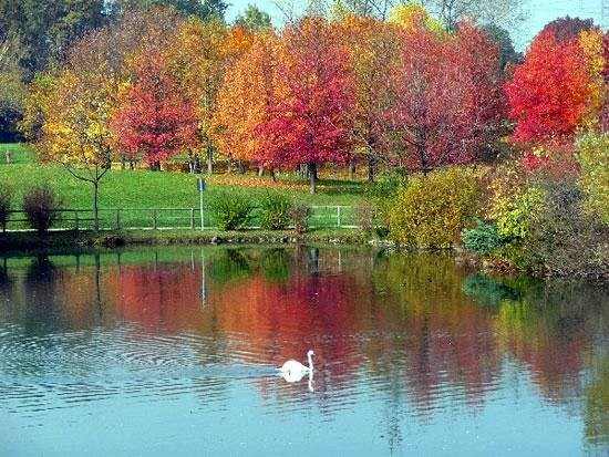 A pochi passi dal parco della pellerina