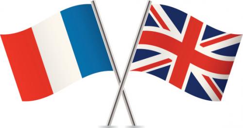 Docente offre ripetizioni di Inglese e Francese (tutte le età, anche online)